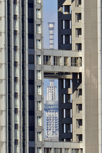 フジテレビの隙間から東京スカイツリー