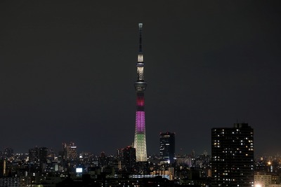 東京スカイツリー夜景「ハイビスカス」