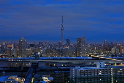 東京スカイツリーと雪化粧した街