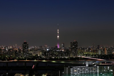 東京スカイツリー夜景「新雅」