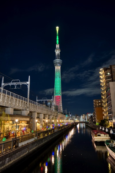 クリスマス特別ライティング「オーナメントツリー」