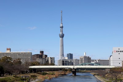 亀戸のふれあい橋から見た東京スカイツリー