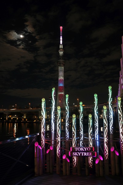 すみだリバーウォークの竹あかりと東京スカイツリー