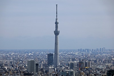 サンシャイン60から見た東京スカイツリー
