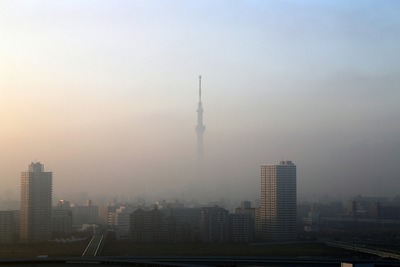 上だけ見えた東京スカイツリー