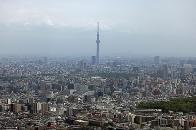 サンシャイン60から見た東京スカイツリー