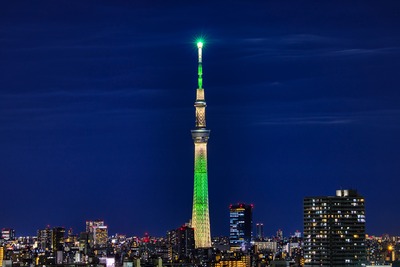 シャンパンツリー