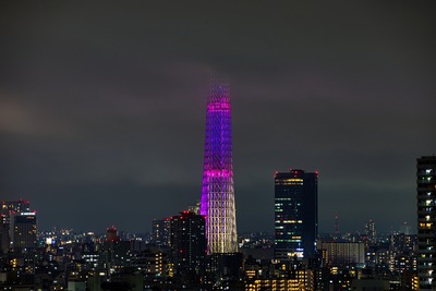 東京スカイツリー「雅」