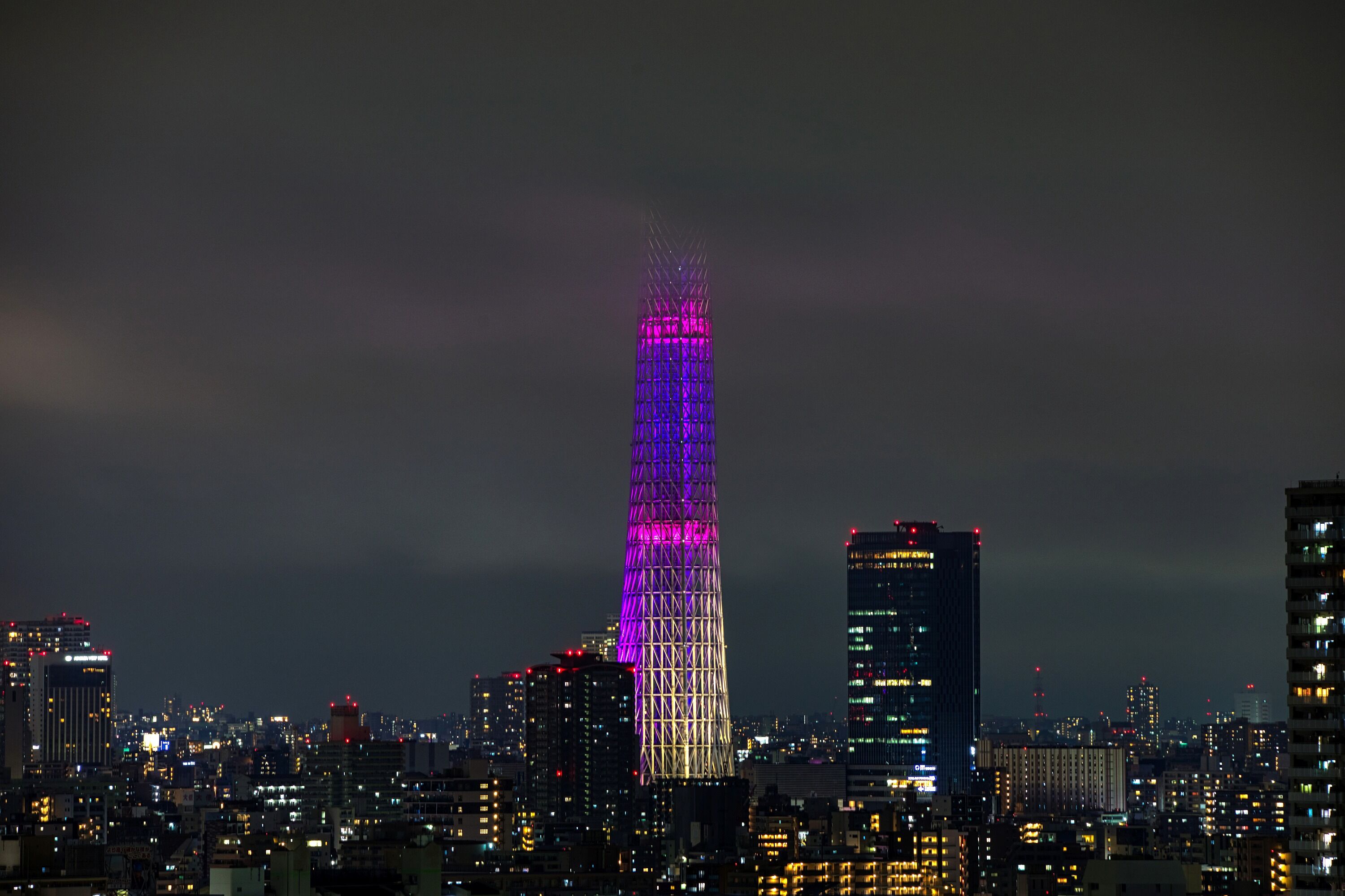 東京スカイツリー定点観測所 年06月