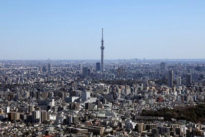 サンシャイン60から見た東京スカイツリー