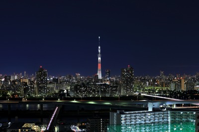 キャンドルツリー