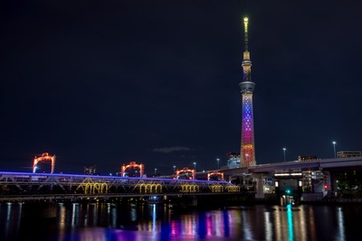 ハロウィン限定ライティング「ムーンライト・ハロウィン」