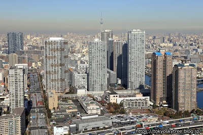 東雲のタワーマンション群と東京スカイツリーの空撮