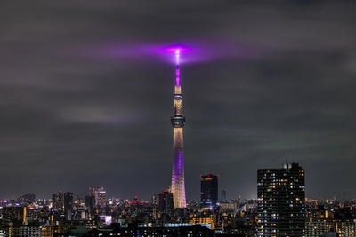 東京スカイツリー夜景「雅」