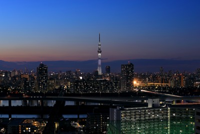 東京スカイツリー夕景