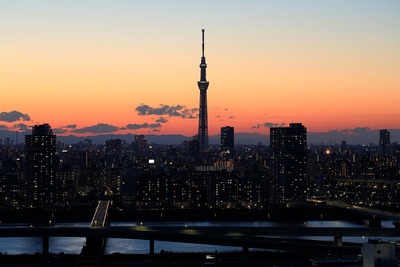 夕景と東京スカイツリー