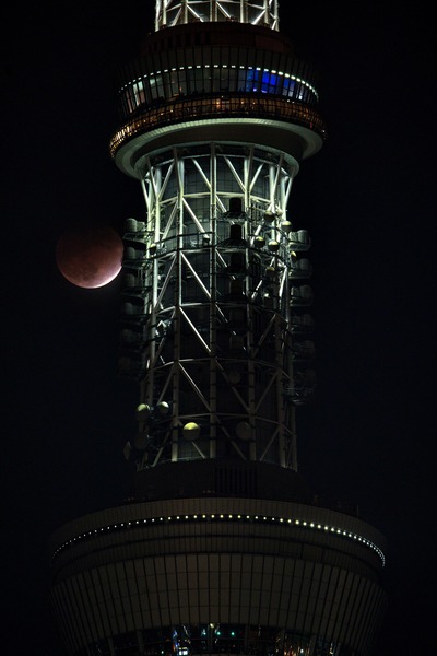 東京スカイツリーとほぼ皆既月食