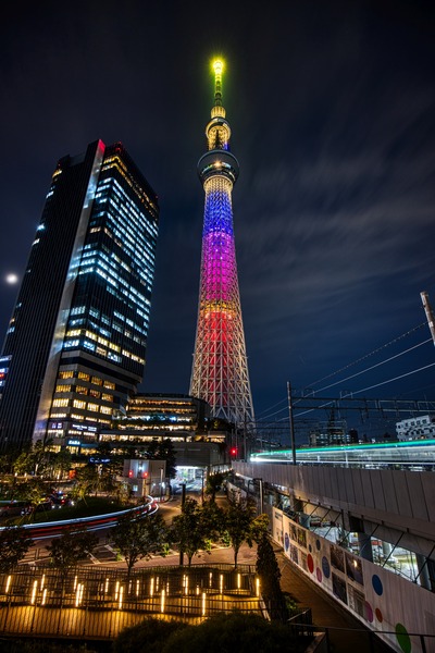 ハロウィン限定ライティング「ムーンライト・ハロウィン」
