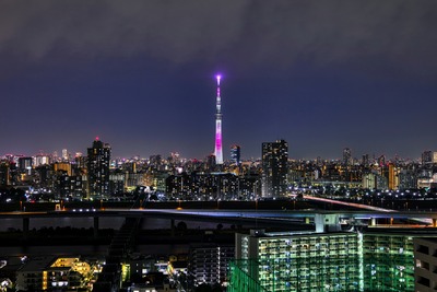 東京スカイツリー夜景「舞」