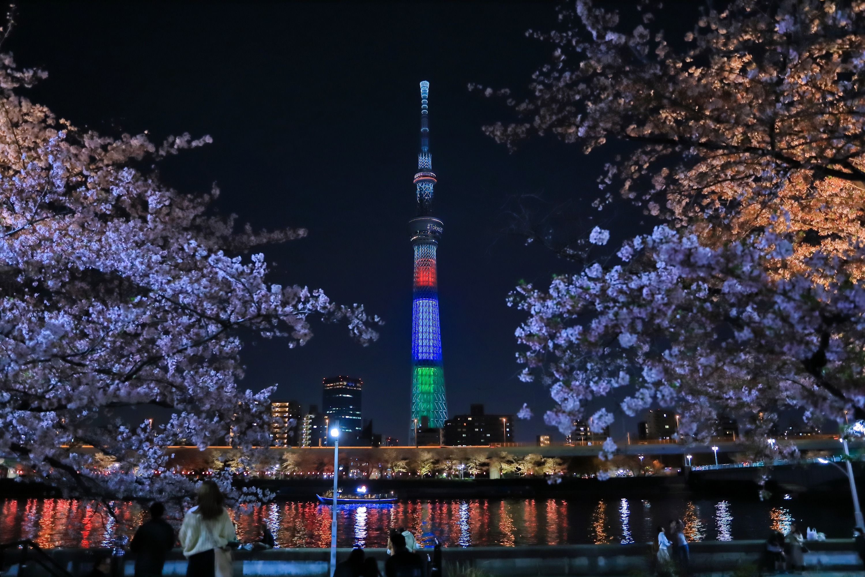 隅田公園の夜桜と東京スカイツリー 19年4月7日 東京スカイツリー定点観測所