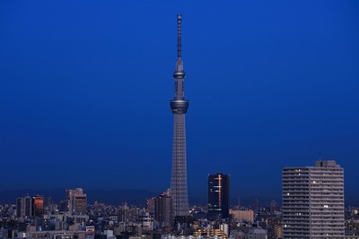 夜明けの東京スカイツリー