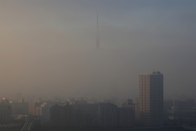 上だけ見えた東京スカイツリー