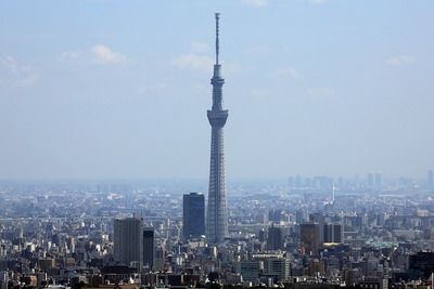 サンシャイン60から見た東京スカイツリー