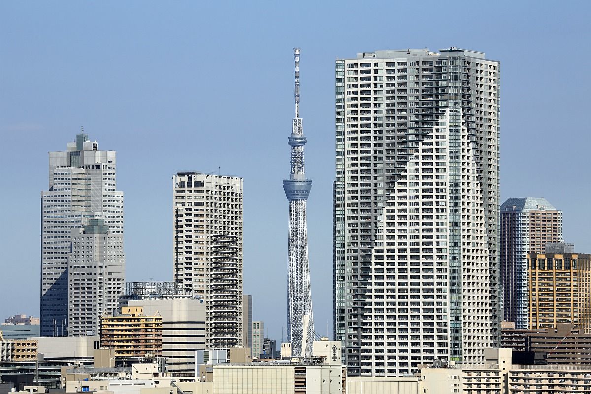 レインボーブリッジから見た東京スカイツリー その２ 東京スカイツリー定点観測所