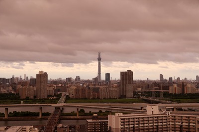 街全体が色付いたときの東京スカイツリー