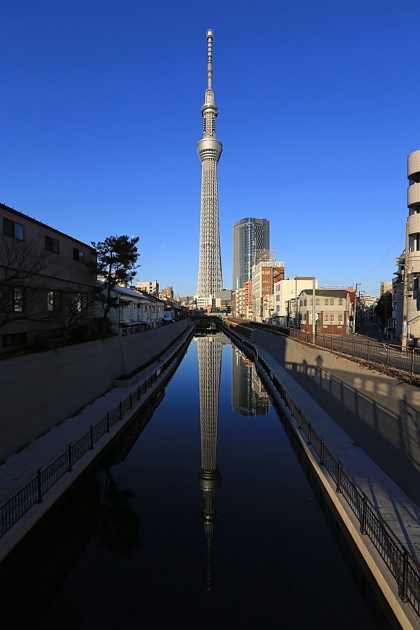 元旦に東京スカイツリーを十間橋から見たらキレイな逆さツリーでした 東京スカイツリー定点観測所