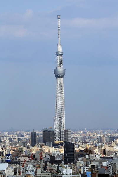 文京シビックセンターから見た東京スカイツリー