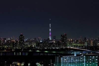 東京スカイツリー夜景「舞」