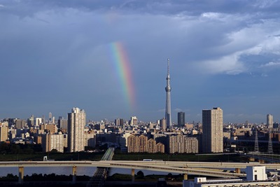 東京スカイツリーと虹