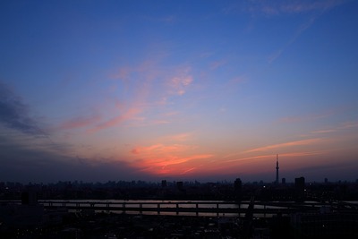 東京スカイツリーのある夕景