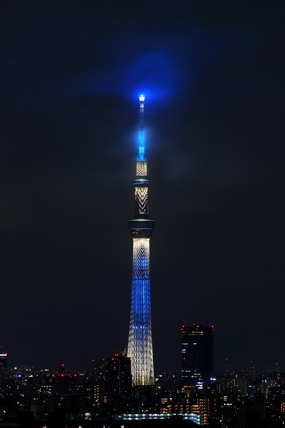 東京スカイツリー夜景「粋」