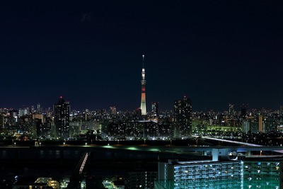 東京スカイツリー明花のマリーゴールド