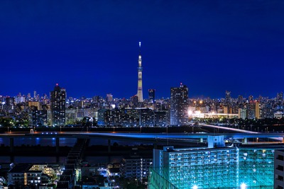 ピカチュウ10まんボルトの奇跡!?