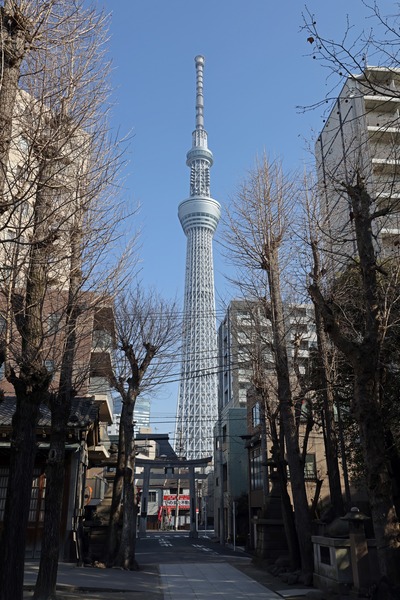 牛嶋神社から見た東京スカイツリー