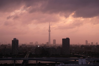 夏至の東京スカイツリー夕景