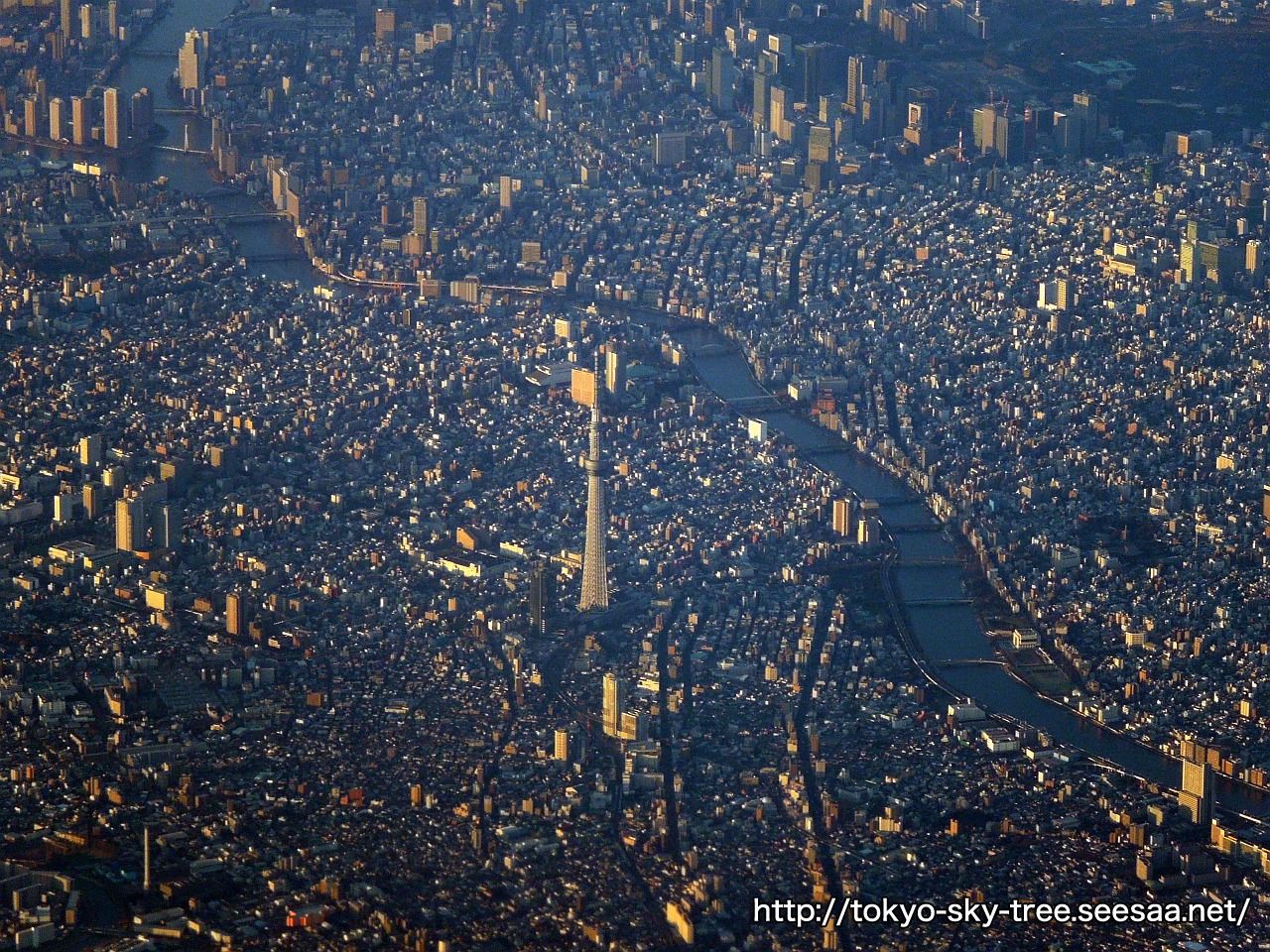 12年2月4日 飛行機から見た東京スカイツリー その３ 東京スカイツリー定点観測所