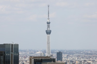 東京タワーから見た東京スカイツリー