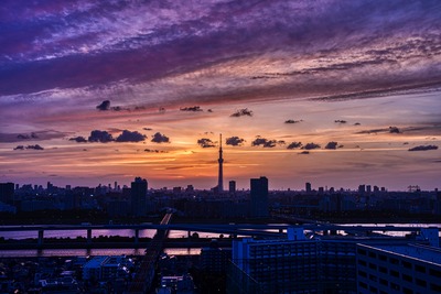 東京スカイツリー夕景