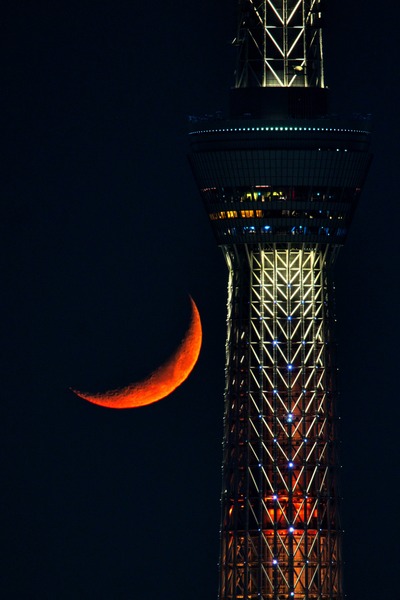東京スカイツリーと細い月