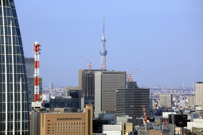 東京タワーから見た東京スカイツリー