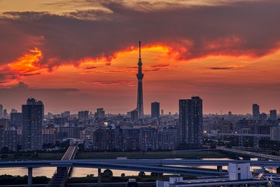 東京スカイツリー夕景