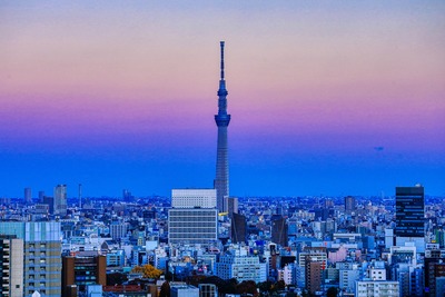 文京シビックセンターから見た東京スカイツリー