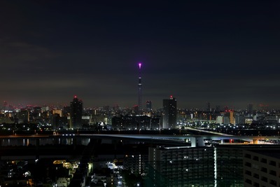 東京スカイツリー ピンクトルマリン