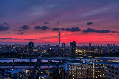 東京スカイツリー夕景