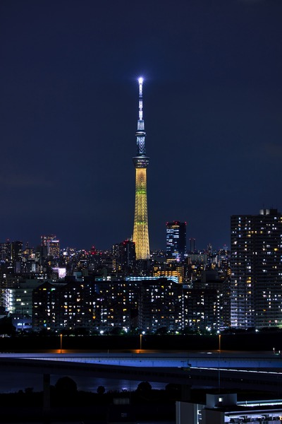 金メダルをイメージした特別ライティング