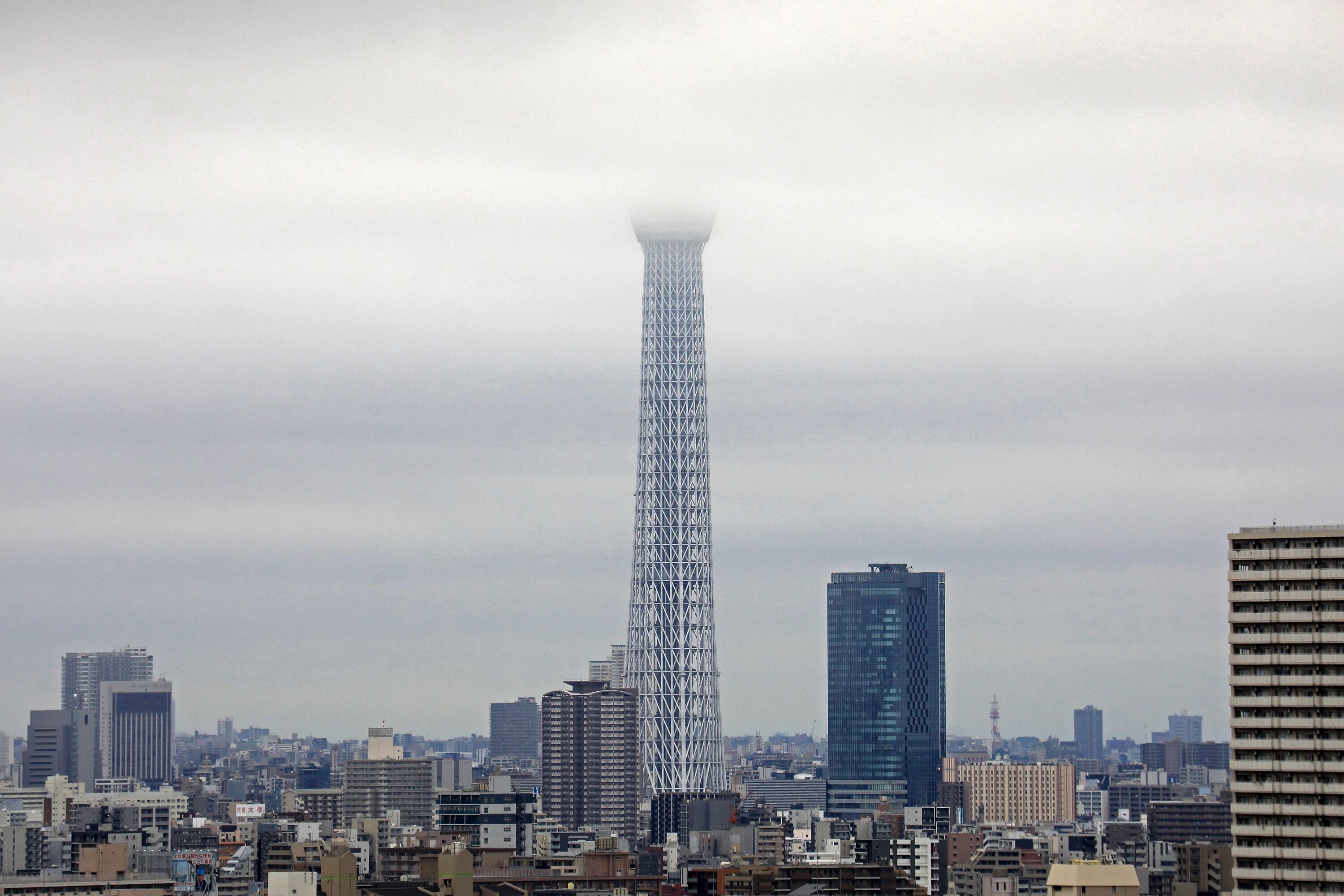 本日の東京スカイツリー 年7月29日 東京スカイツリー定点観測所